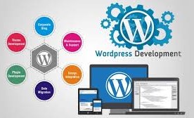 I will build, redesign, revamp wordpress website development, ecommerce website design