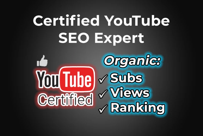 I will do expert youtube SEO optimizations for channel and videos