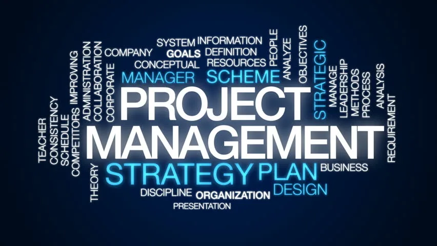 I will do all tasks on project management professionally